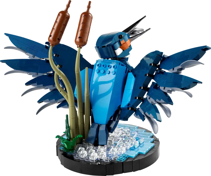 Eisvogel