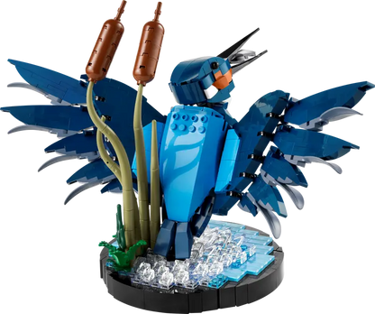 Eisvogel