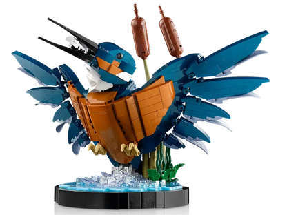 Eisvogel