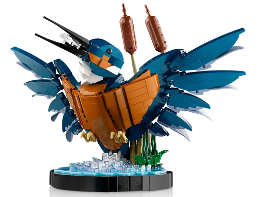 Eisvogel