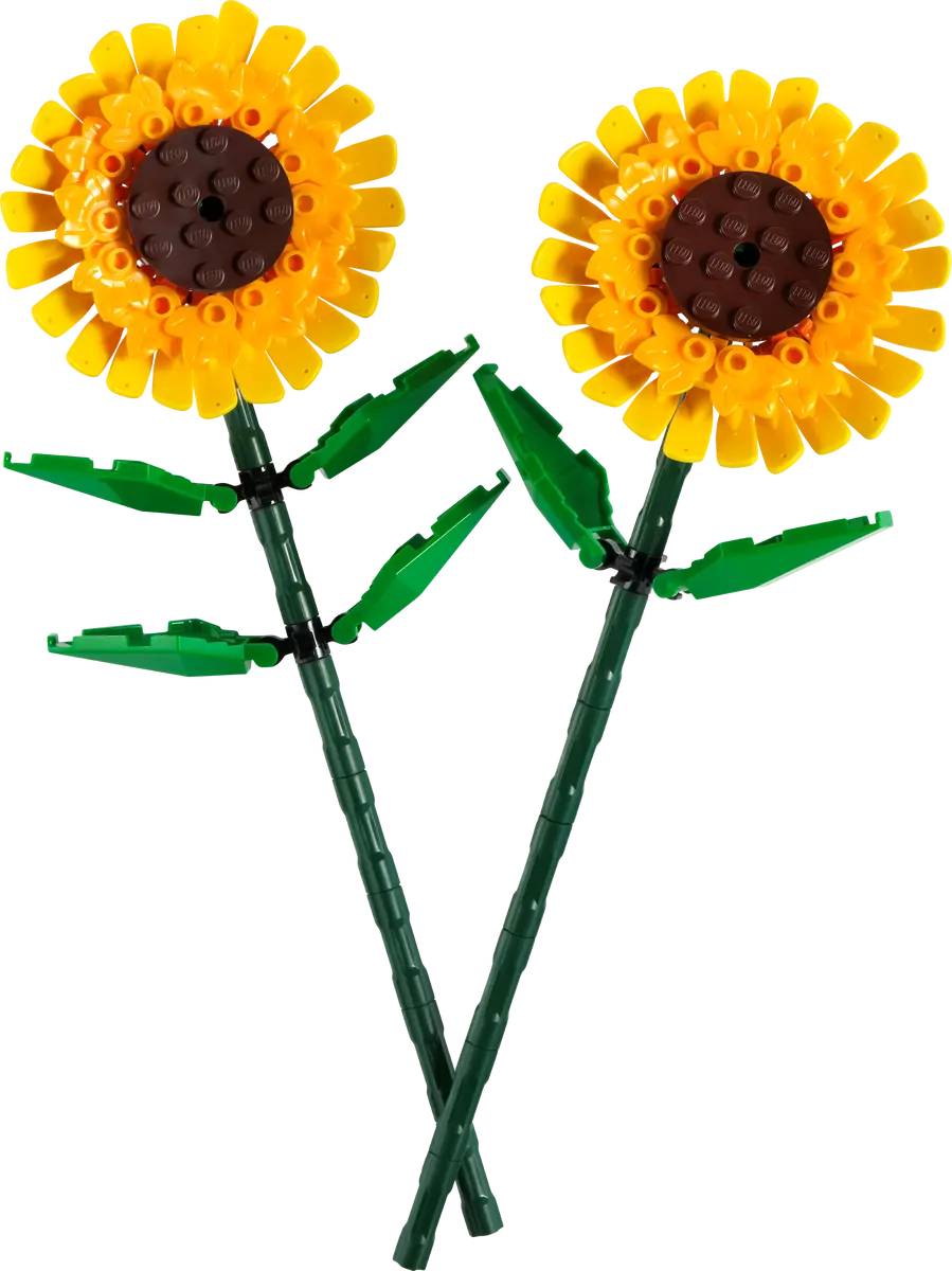 Botanicals Sonnenblumen