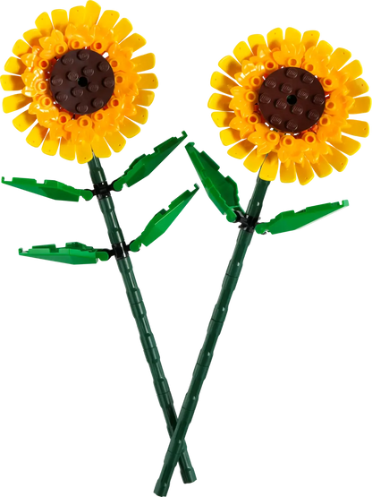 Botanicals Sonnenblumen
