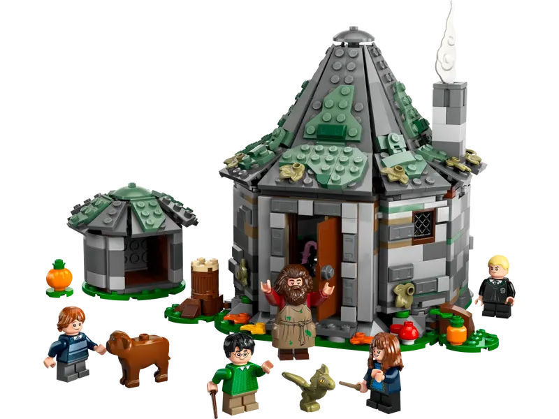 Hagrids Hütte: Ein unerwarteter Besuch