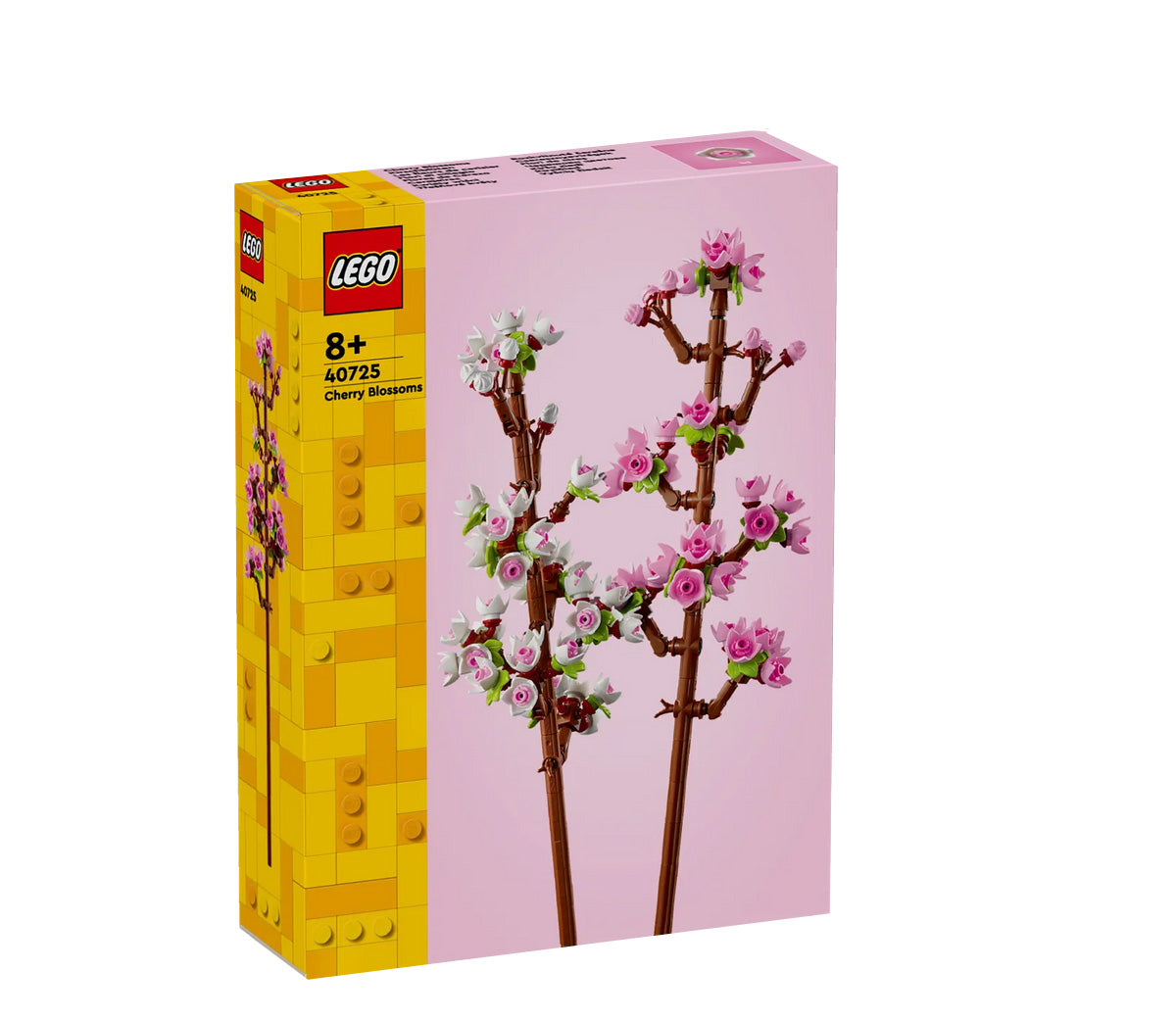Kirschblüten